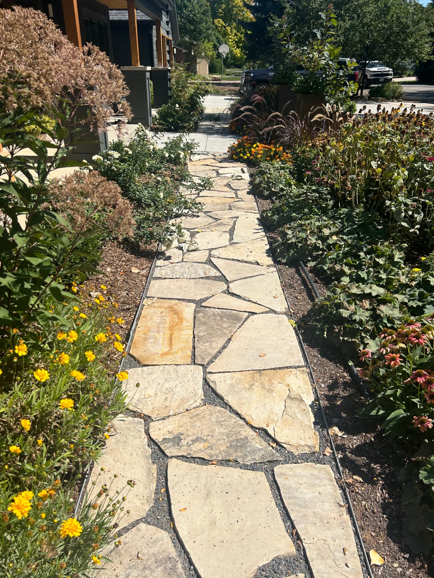 Flagstone walkway through perennial garden beds installed in Northern Colorado